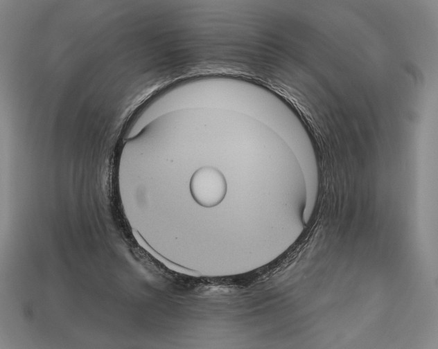 X0000112510352200909281000