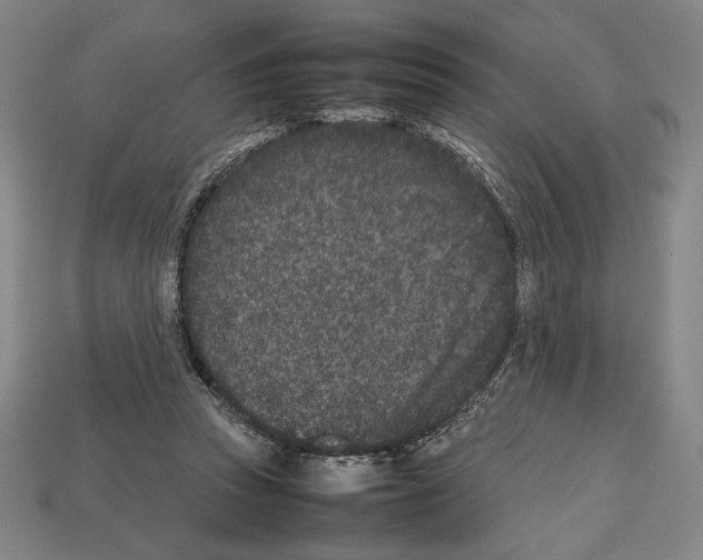 X0000112510353200909281000