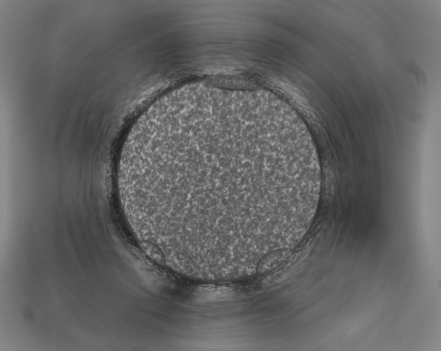 X0000112510354200909281000