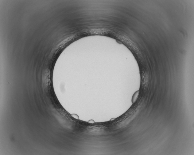 X0000112510356200909281000