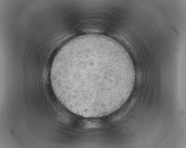 X0000112510359200909281000