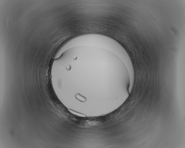 X0000112510360200909281000