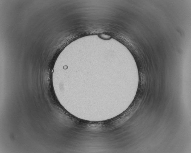 X0000112510362200909281000