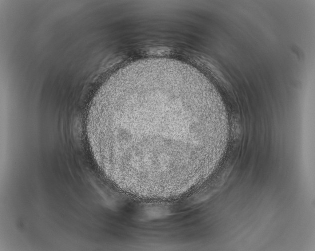 X0000112510363200909281000