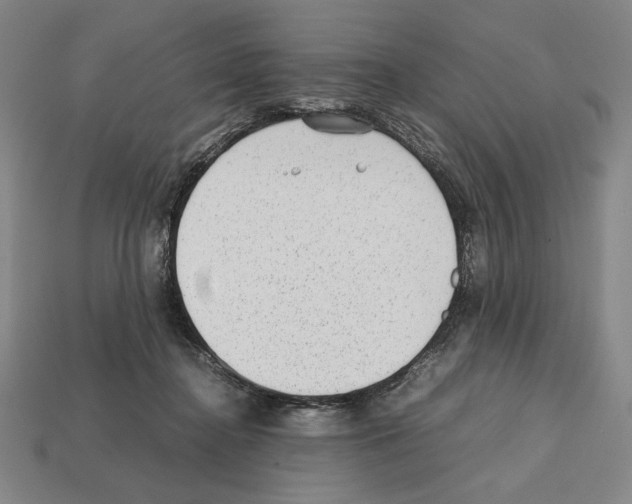 X0000112510364200909281000