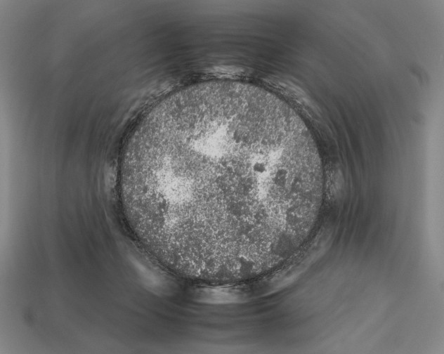 X0000112510365200909281000