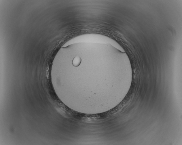 X0000112510368200909281000