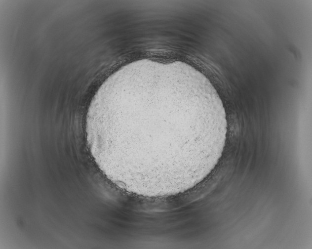 X0000112510369200909281001