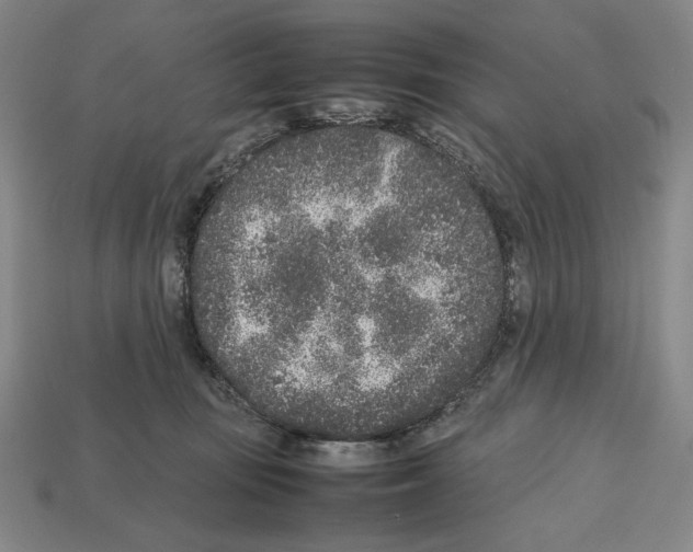 X0000112510371200909281001