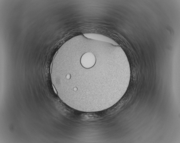 X0000112510372200909281001