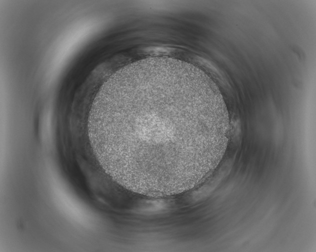 X0000112510381200909281001