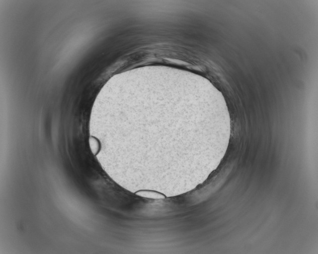 X0000112510382200909281001