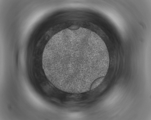 X0000112510383200909281001