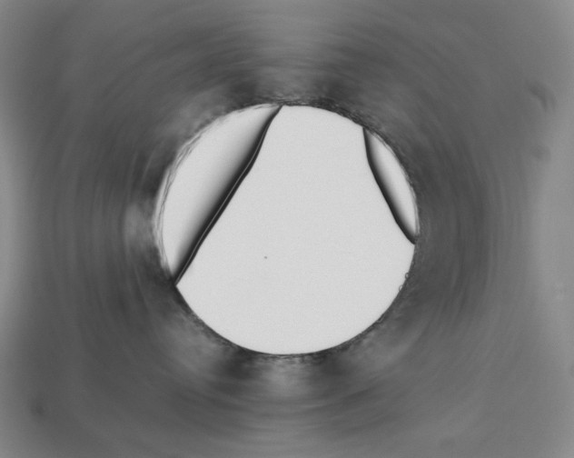 X0000112510384200909281001