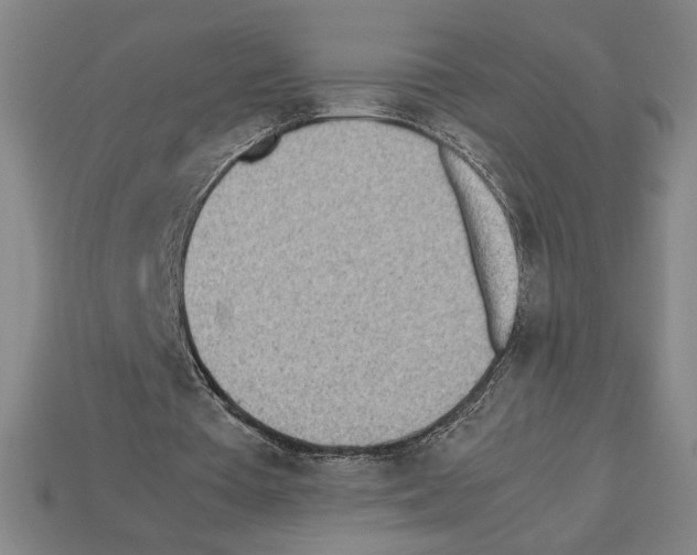 X0000112510385200909281000