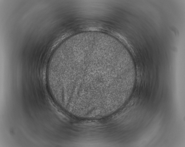 X0000112510386200909281000