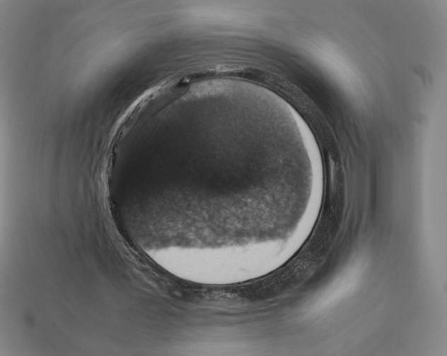 X0000112510387200909281000