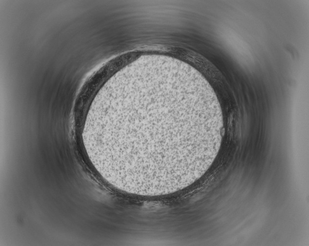 X0000112510388200909281000