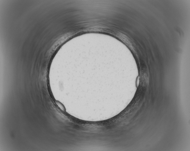 X0000112510389200909281000