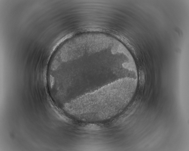 X0000112510390200909281000