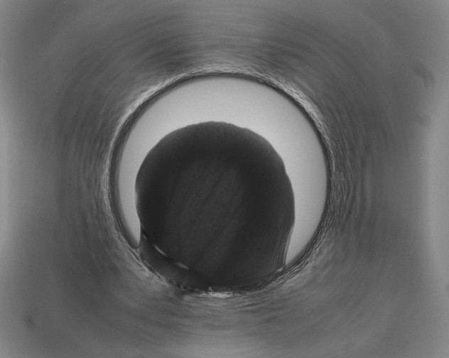 X0000112510391200909281000