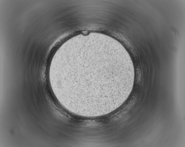 X0000112510392200909281000