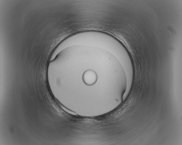 X0000112510393200909281000