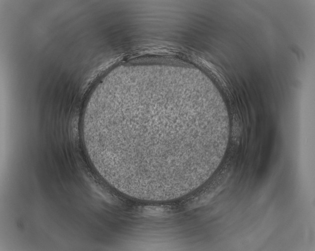 X0000112510394200909281000