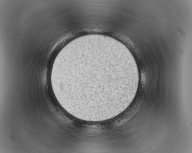 X0000112510396200909281000