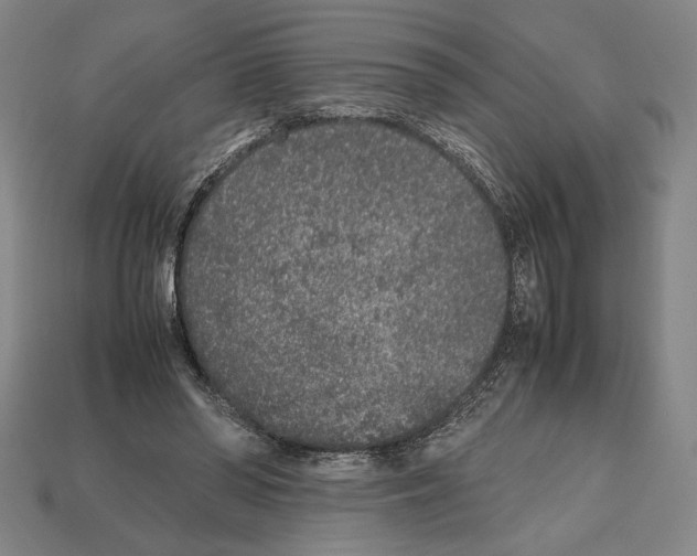 X0000112510398200909281000