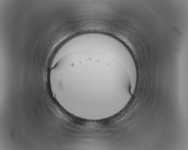 X0000112510399200909281000