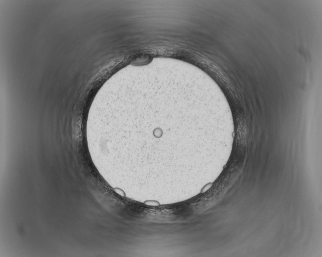 X0000112510403200909281000