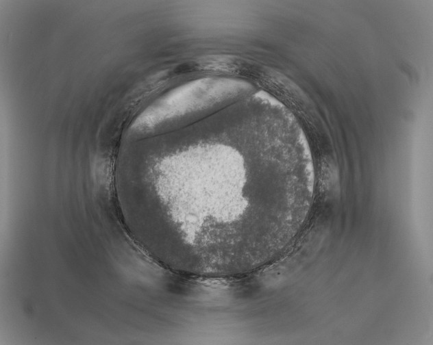 X0000112510409200909281000