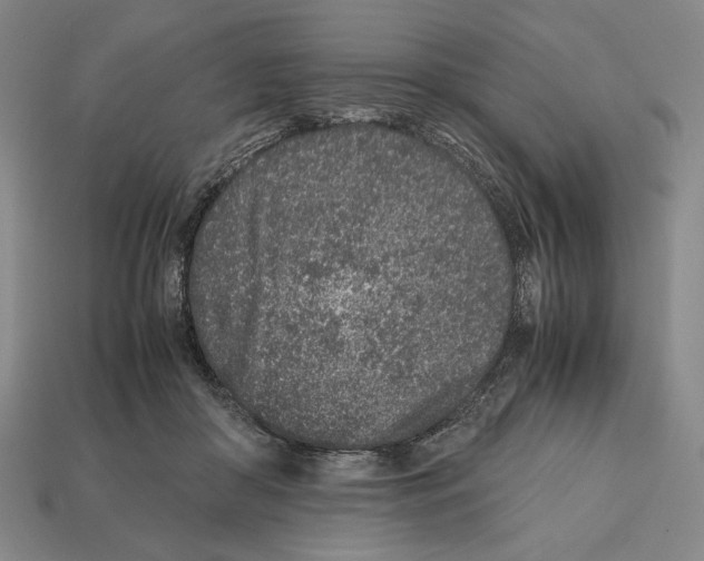 X0000112510410200909281000