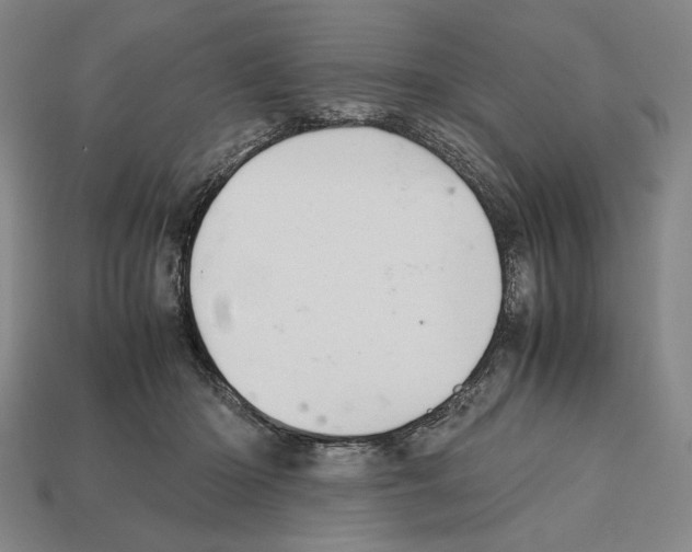 X0000112510414200909281000