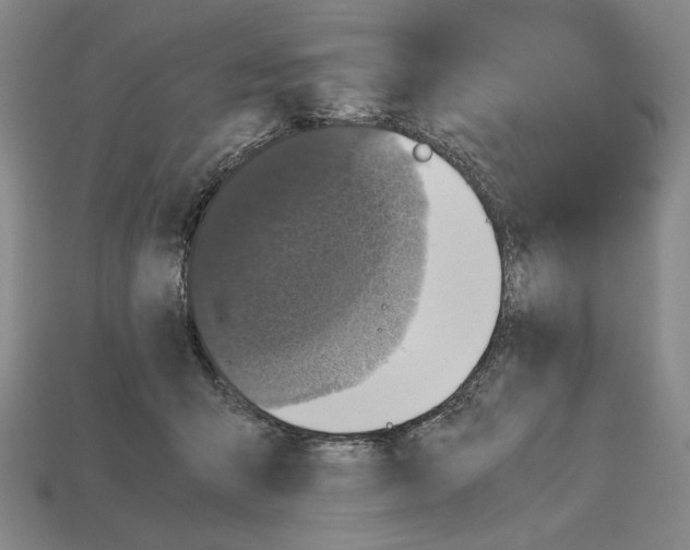 X0000112510415200909280959