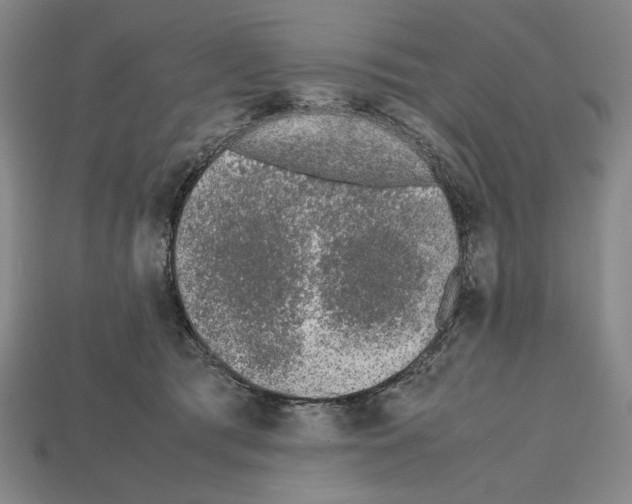 X0000112510417200909280959