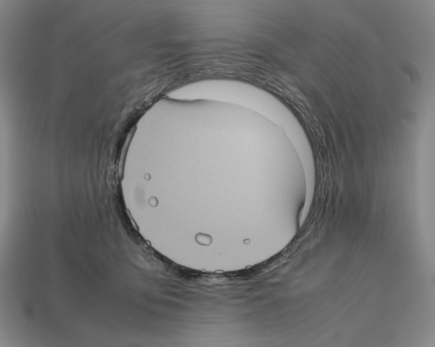 X0000112510419200909280959