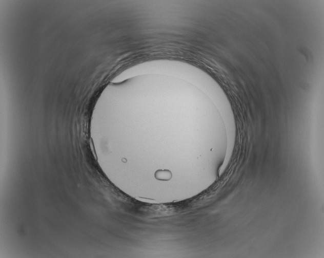 X0000112510421200909280959