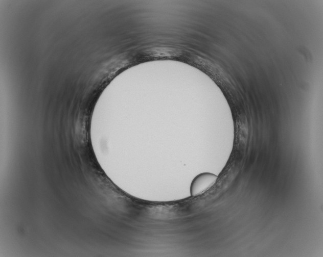 X0000112510422200909280959