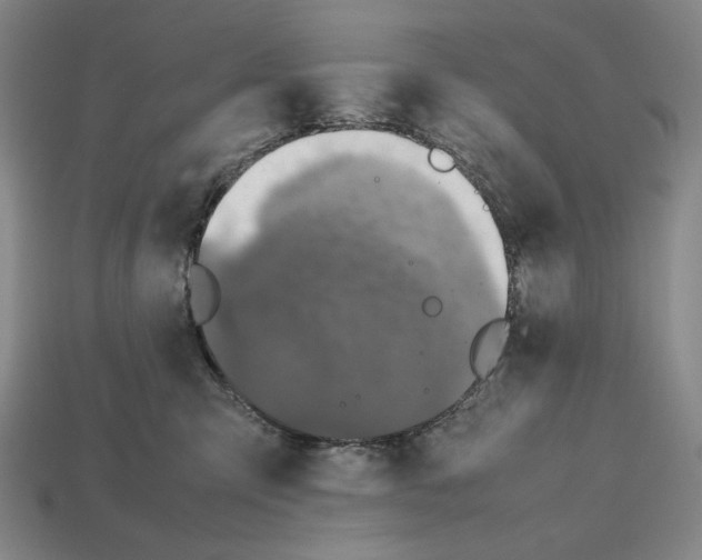 X0000112510423200909280959