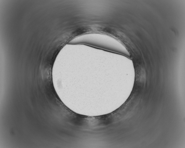 X0000112510425200909280959