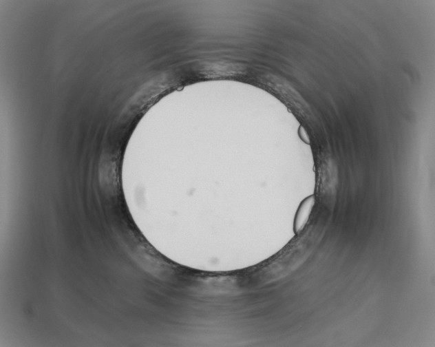 X0000112510426200909280959