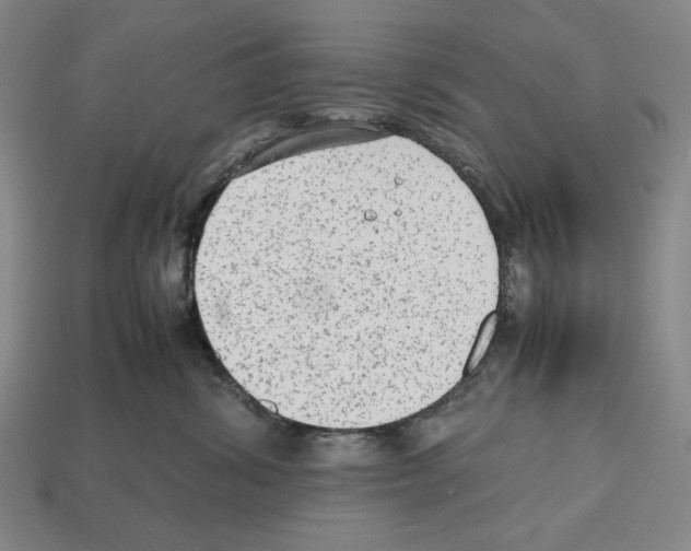 X0000112510428200909280959