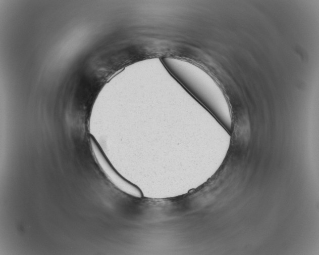 X0000112510429200909280959