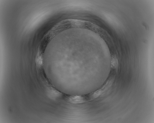 X0000112510431200909280959