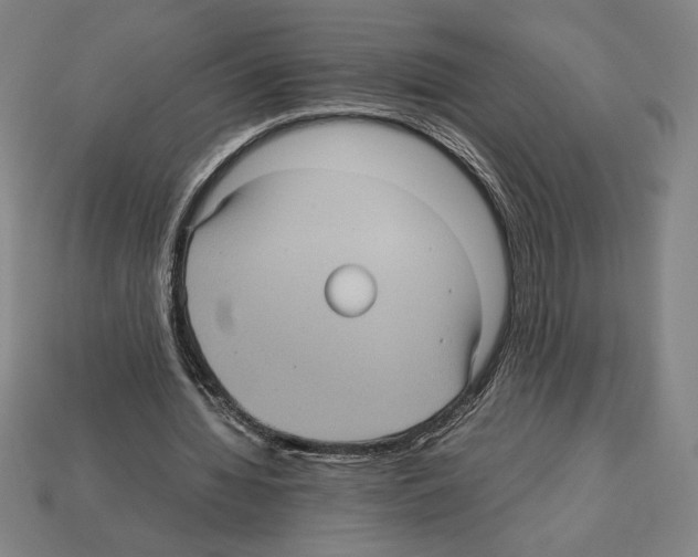 X0000112510436200909280959