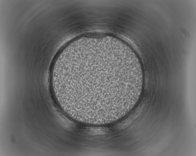 X0000112510439200909280959