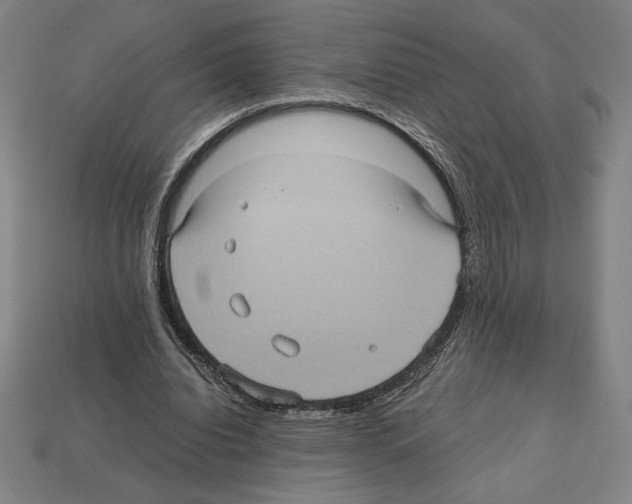 X0000112510440200909280959