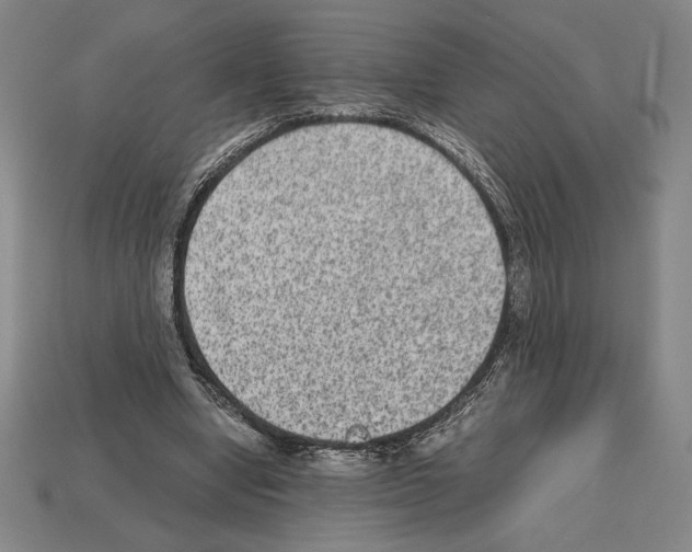 X0000112510442200909280959